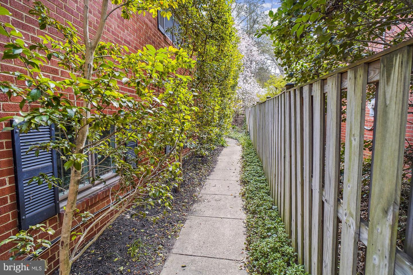 3809 MONTROSE DRIVEWAY