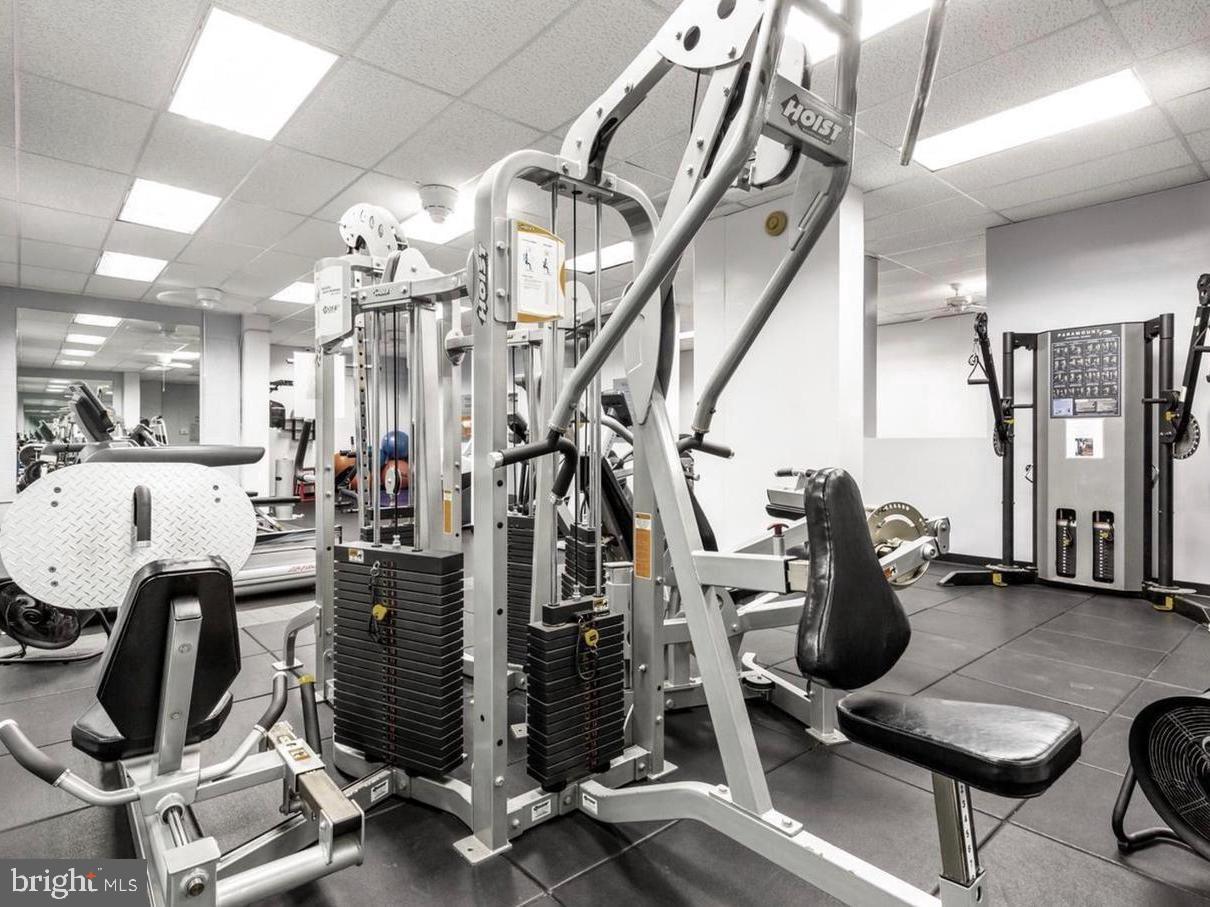 4515 WILLARD AVE #1217S