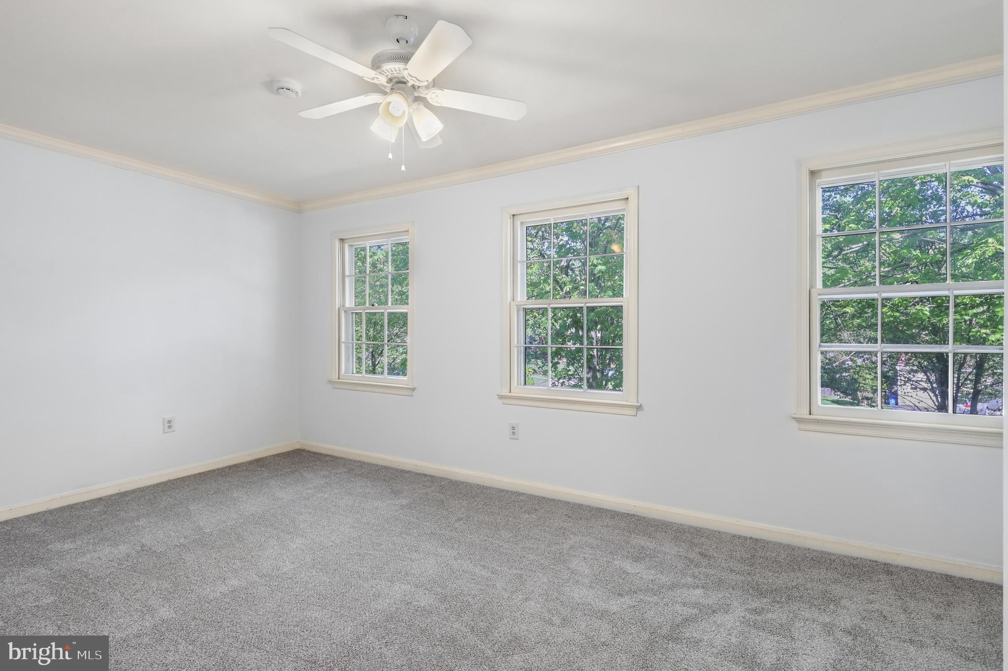 13423 Rippling Brook Dr