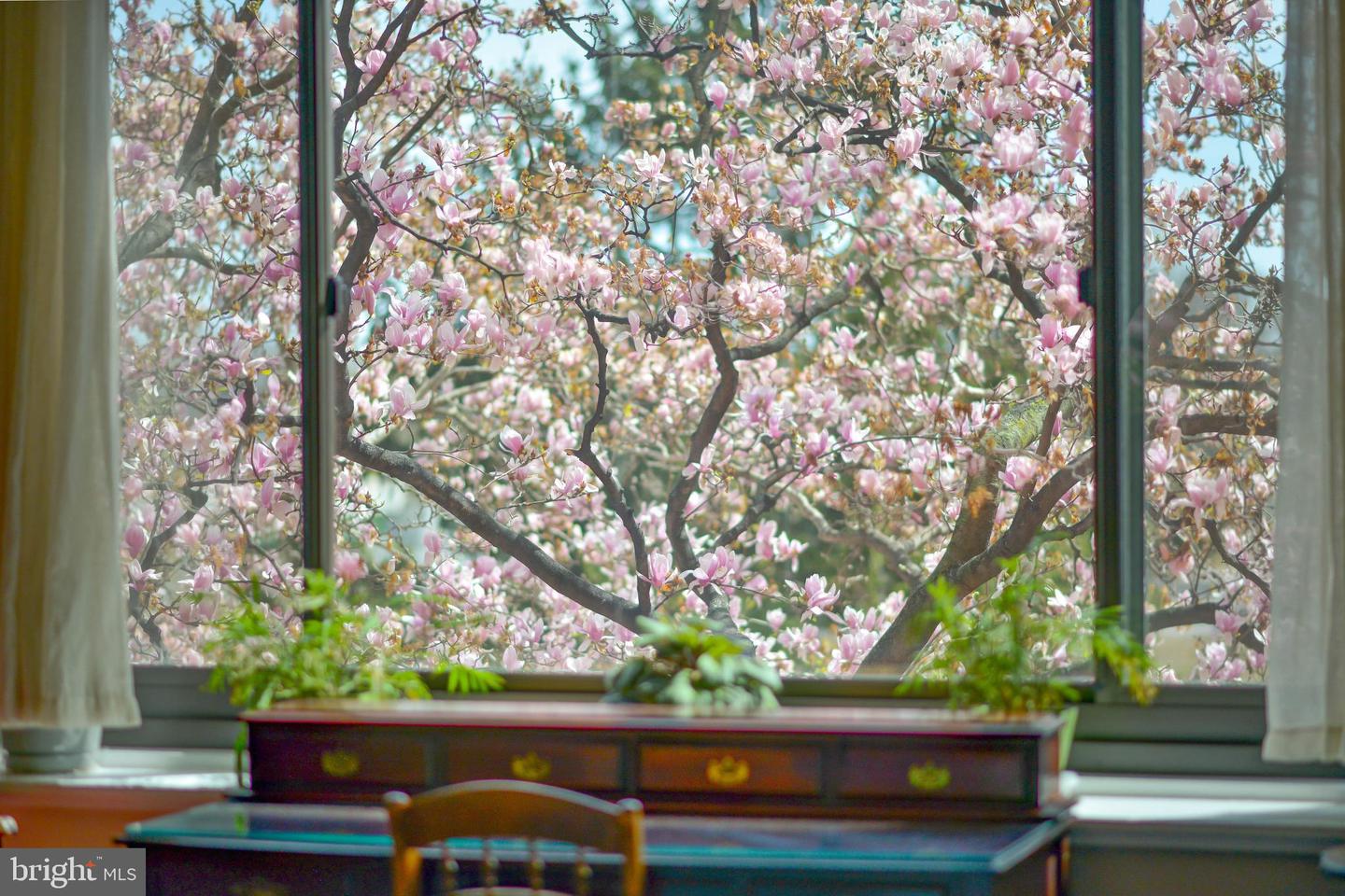 1021 ARLINGTON BOULEVARD Unit: 219