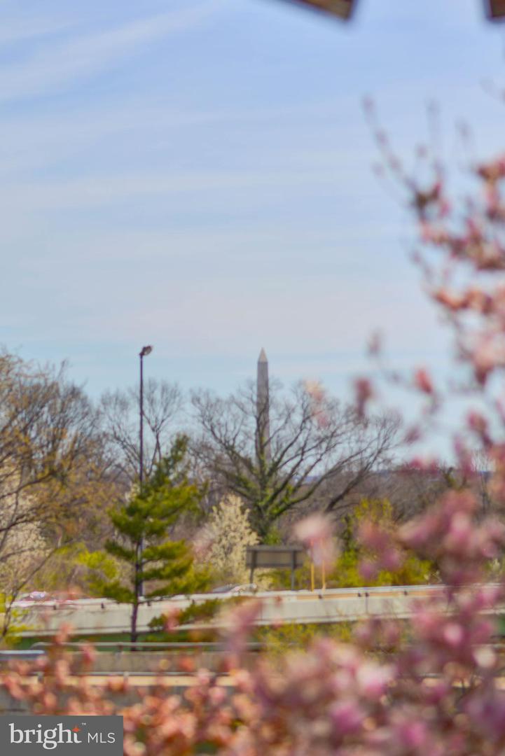 1021 ARLINGTON BOULEVARD Unit: 219