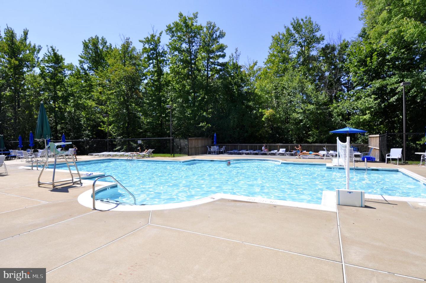 13557 RUDDY DUCK ROAD