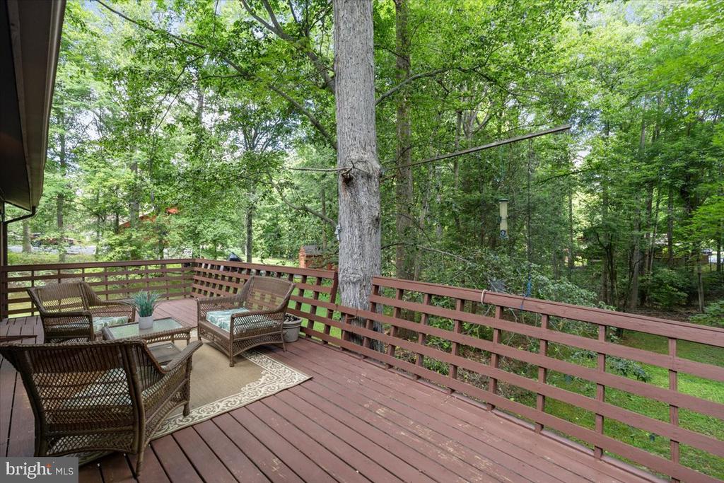 12212 WOODLARK COURT