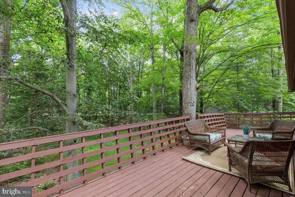 12212 WOODLARK COURT