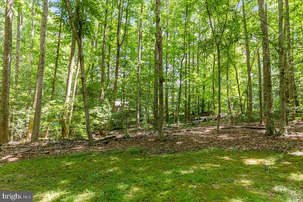 12212 WOODLARK COURT