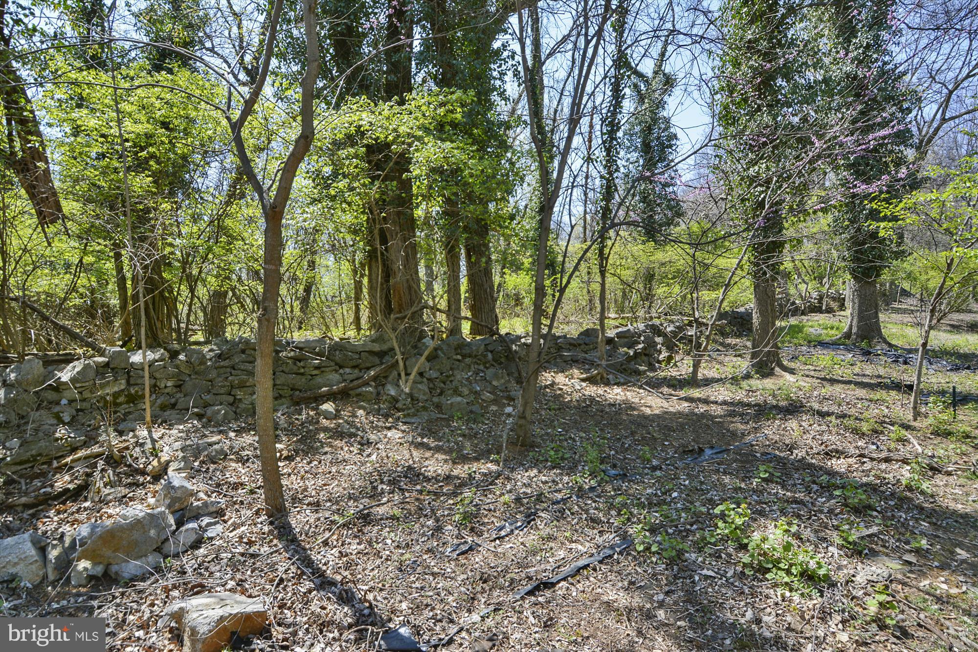 135 KENT STREET S Unit: 202