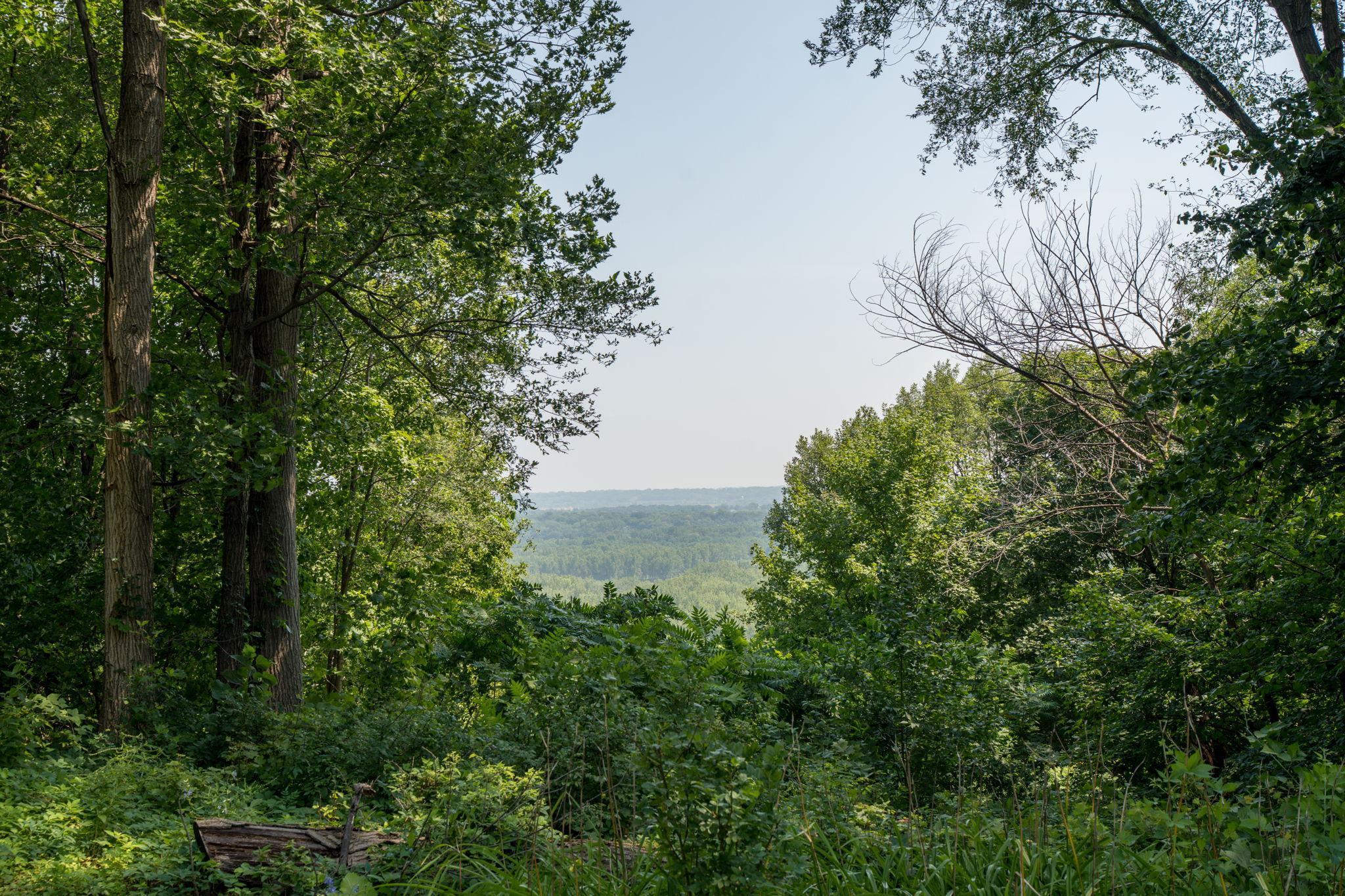 38124 Honeysuckle Lane