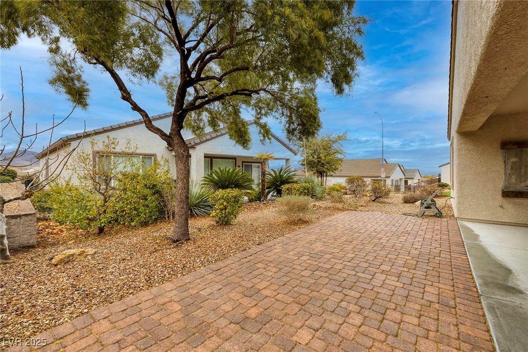 2549 Venus Star Street