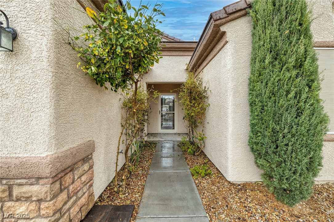 2549 Venus Star Street
