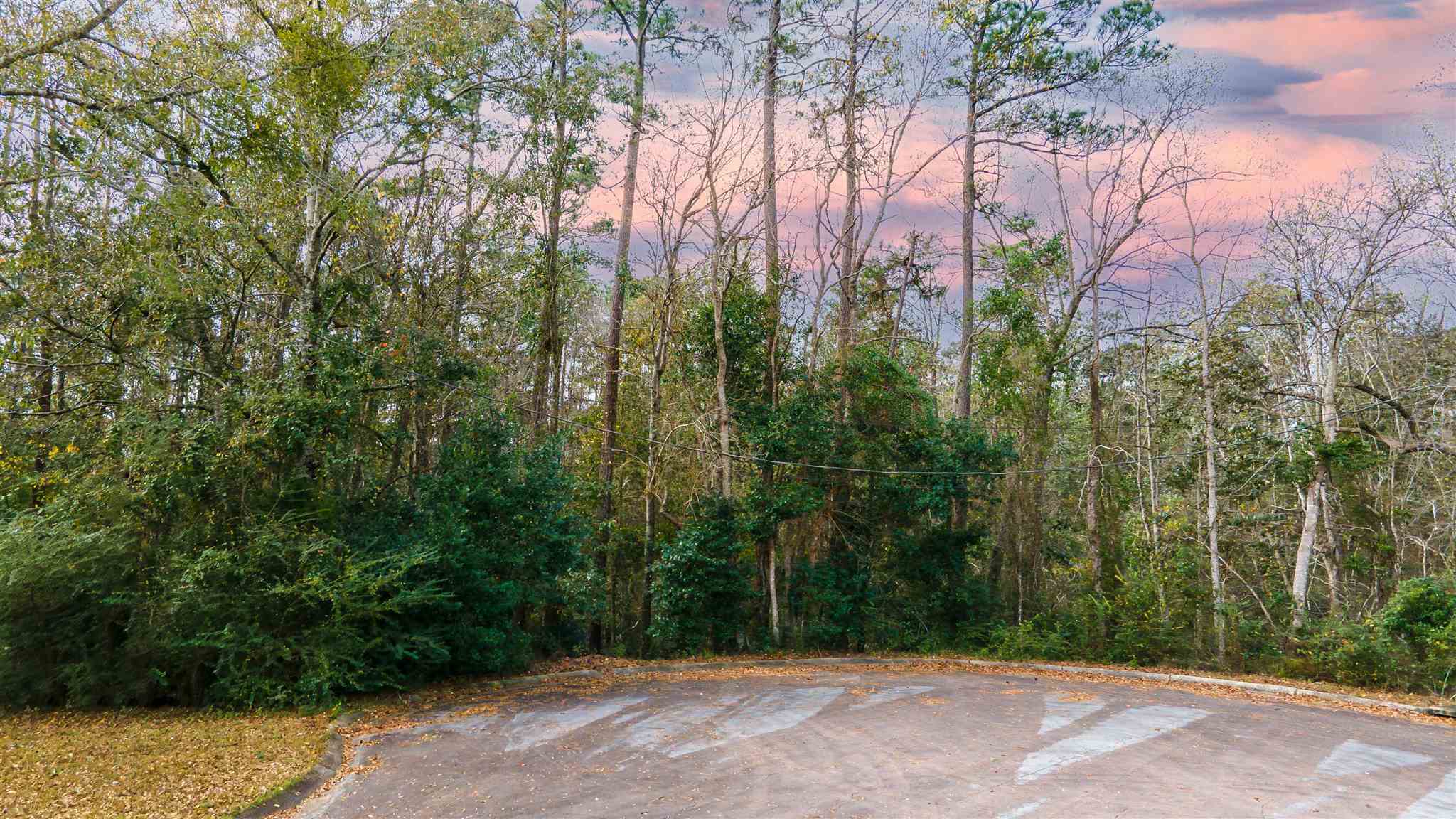 1501 Silver Ridge Dr