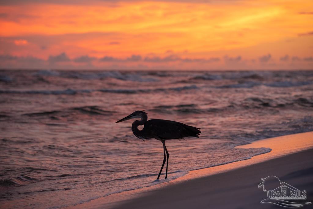 770 Sundial Ct # 412