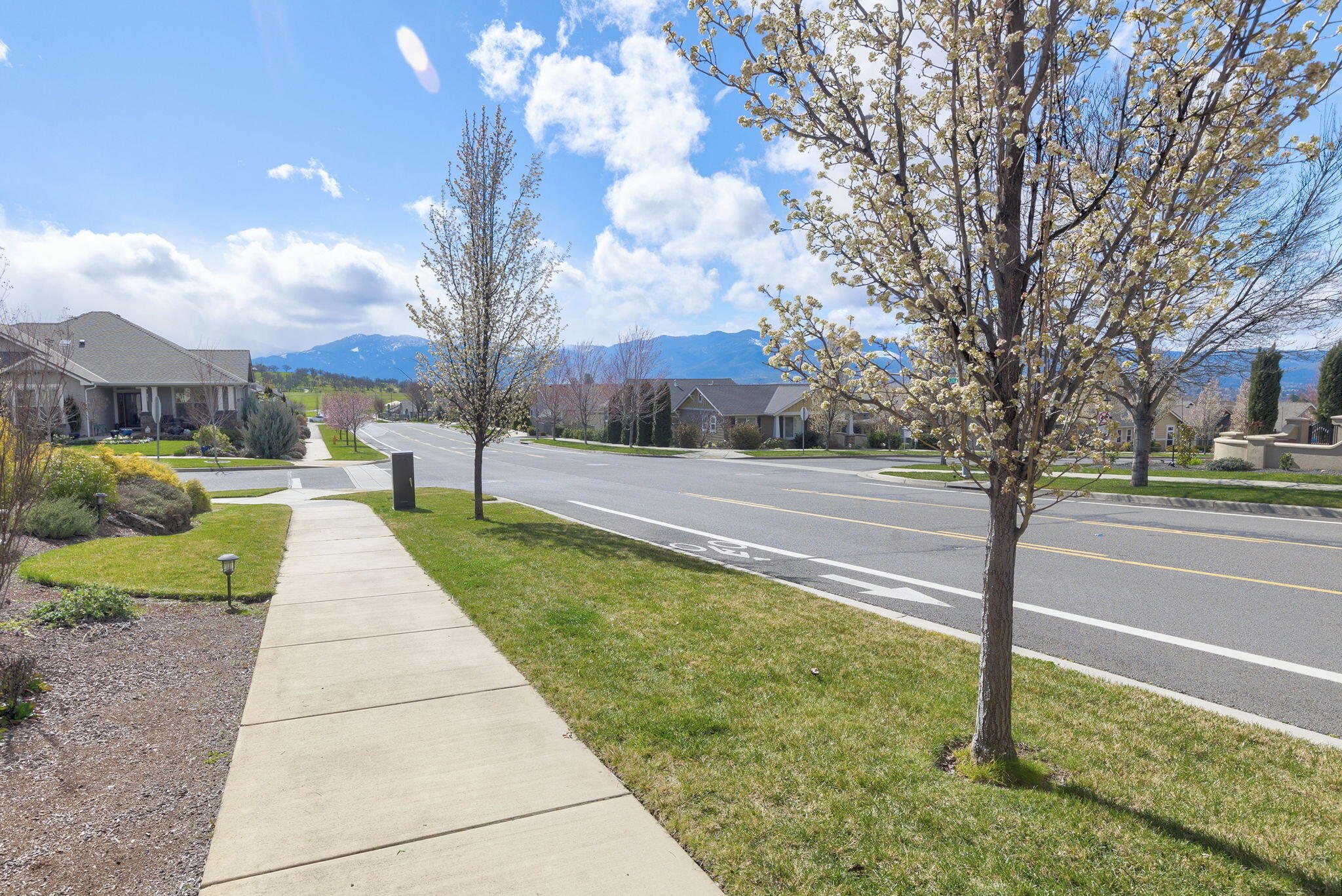 3905 Calle Vista Drive