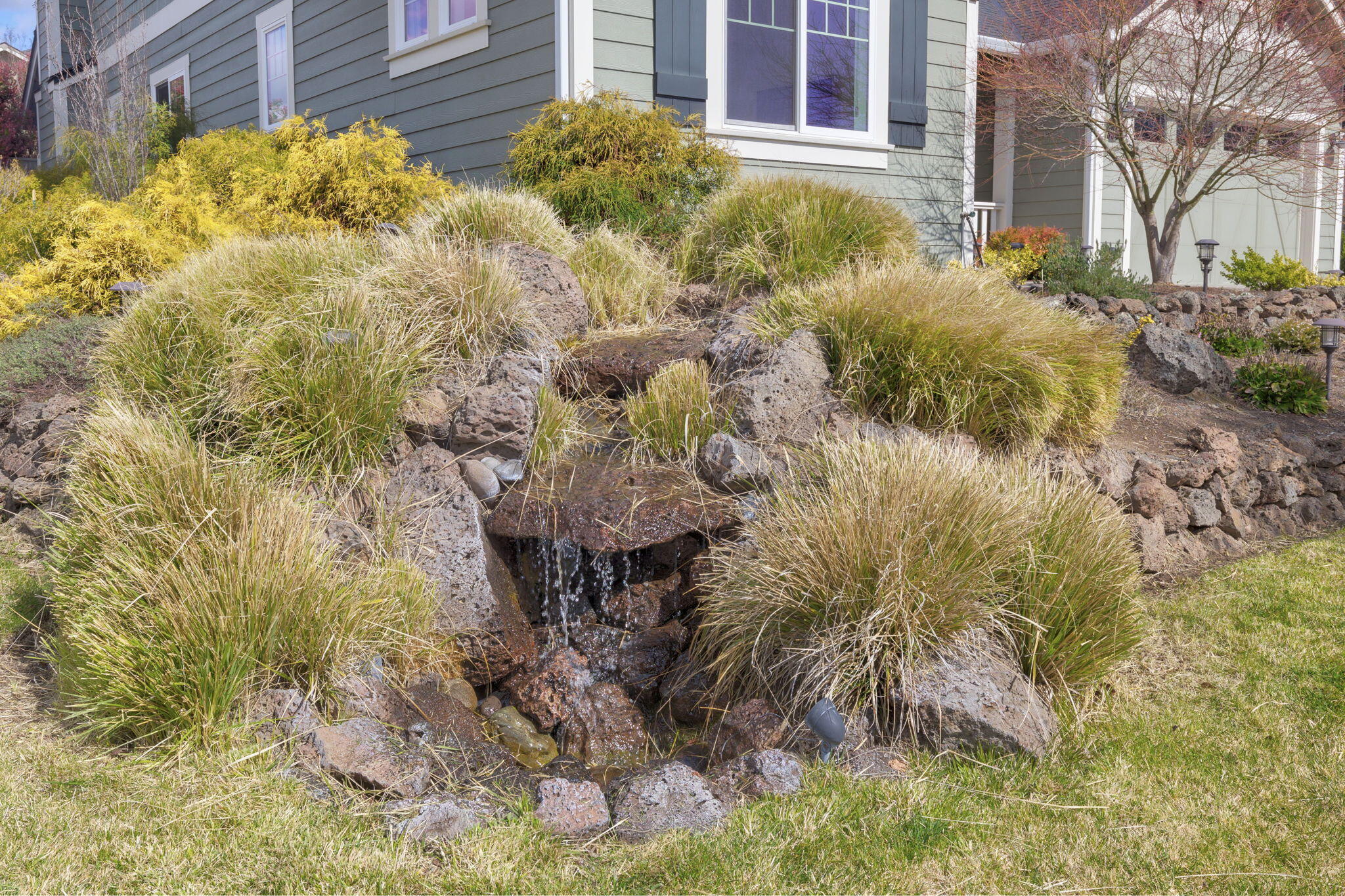 3905 Calle Vista Drive