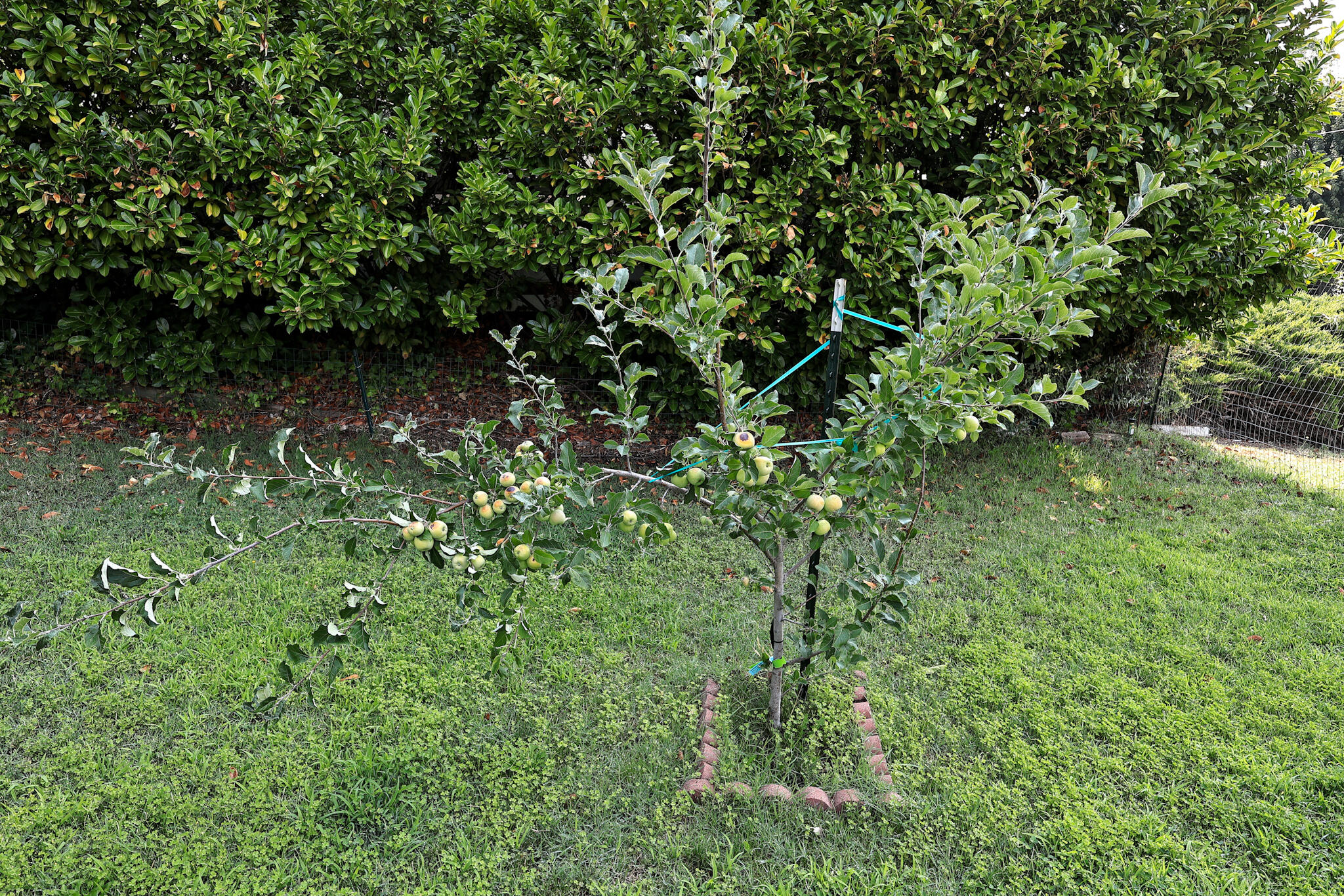 1901 Stratford Avenue