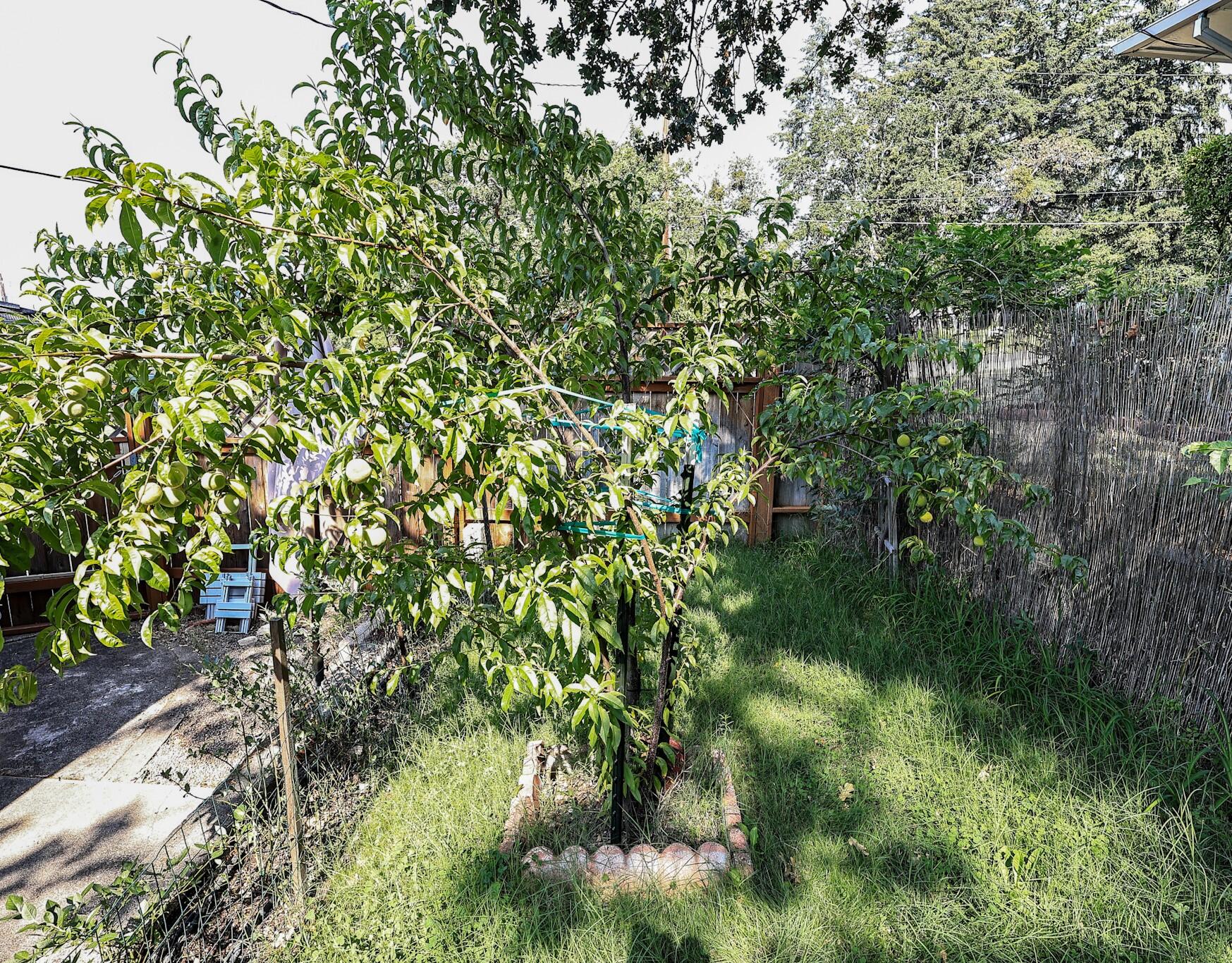 1901 Stratford Avenue