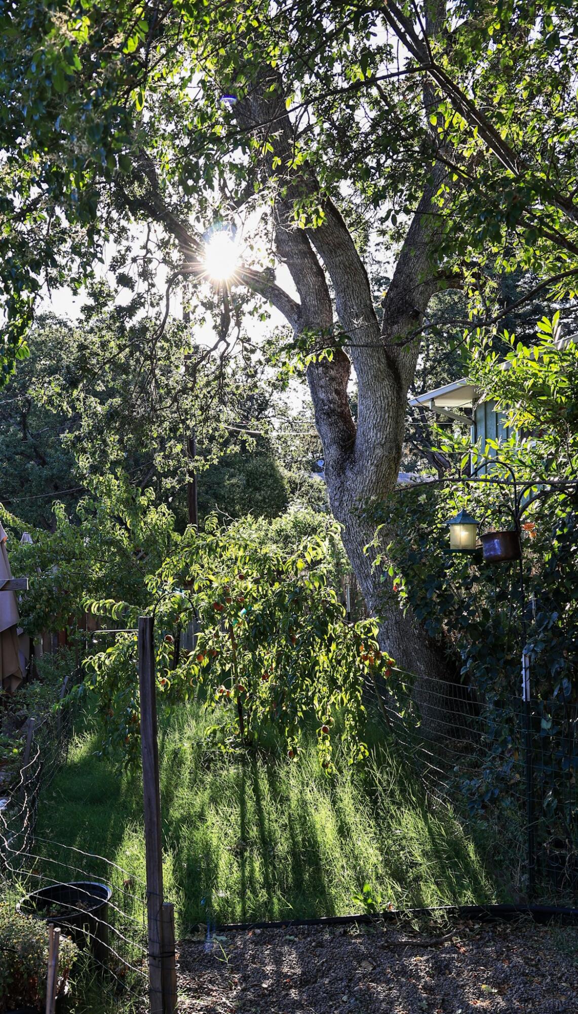 1901 Stratford Avenue