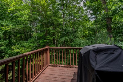 52 Cypress Cir