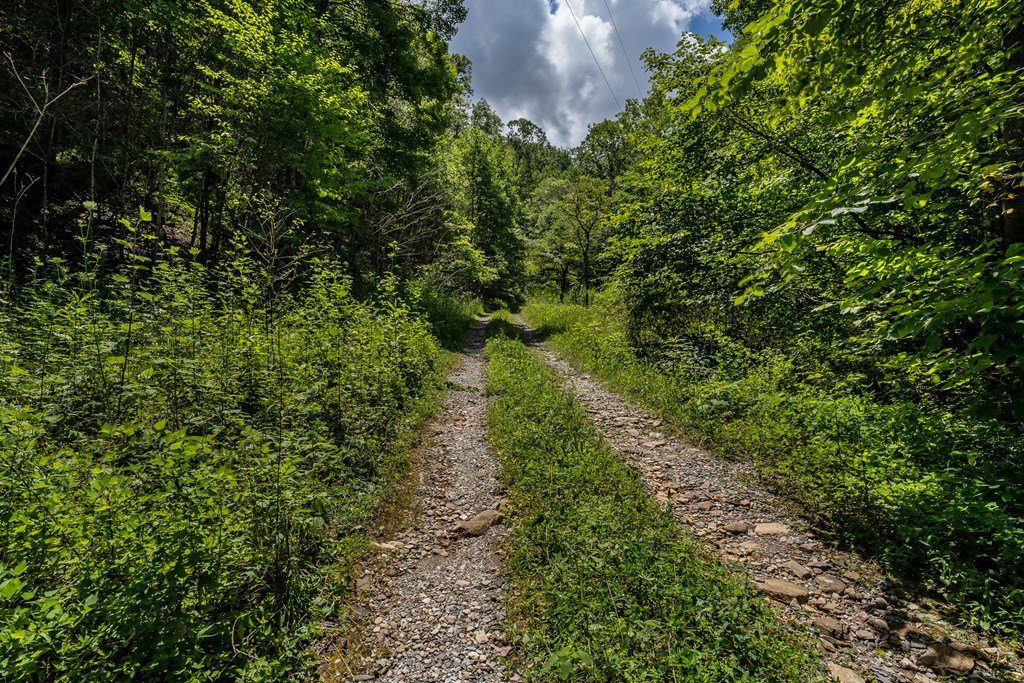 508 Bolden Branch Road