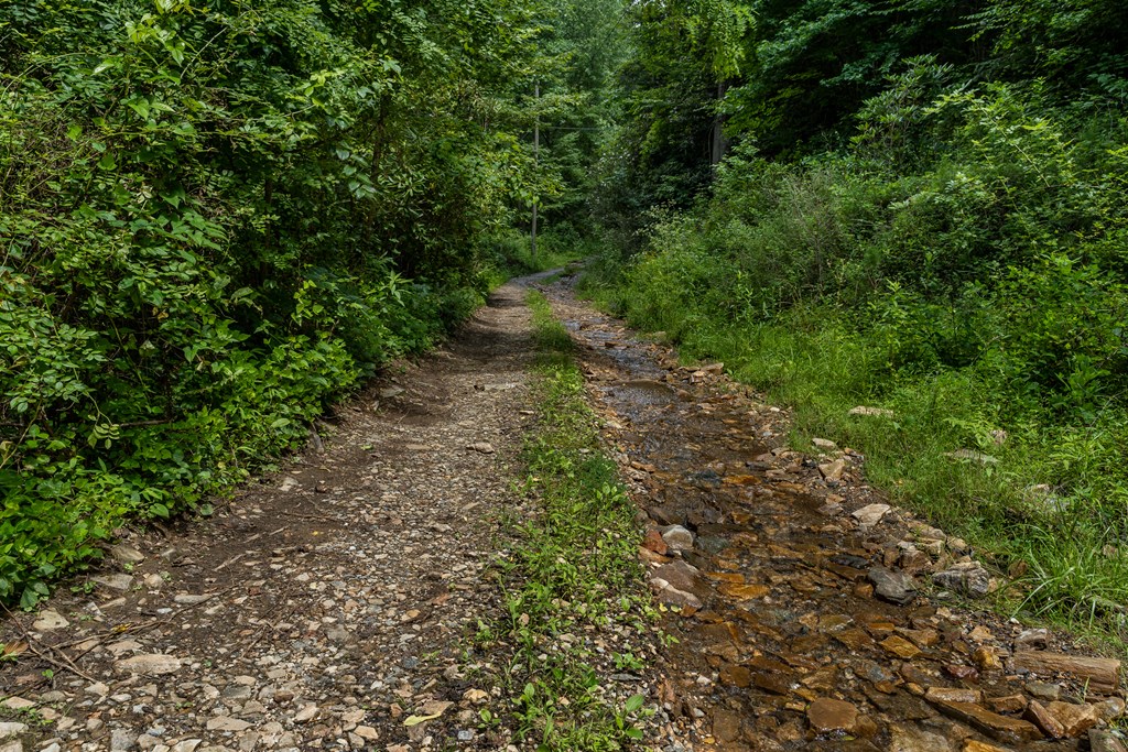 508 Bolden Branch Road