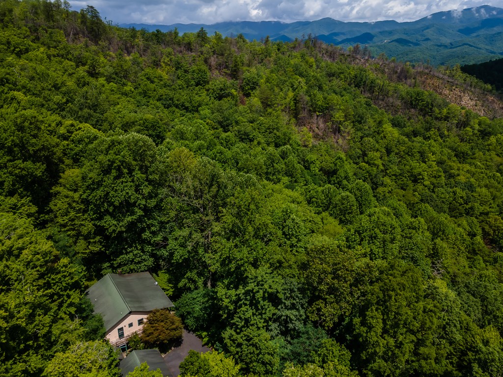 508 Bolden Branch Road