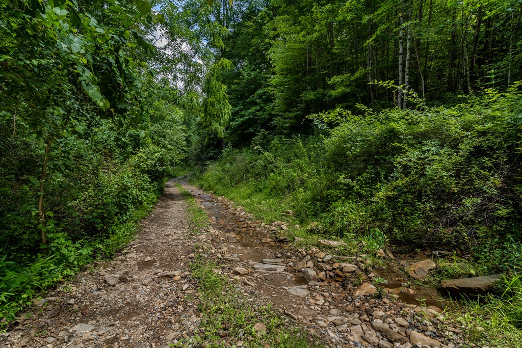 508 Bolden Branch Road