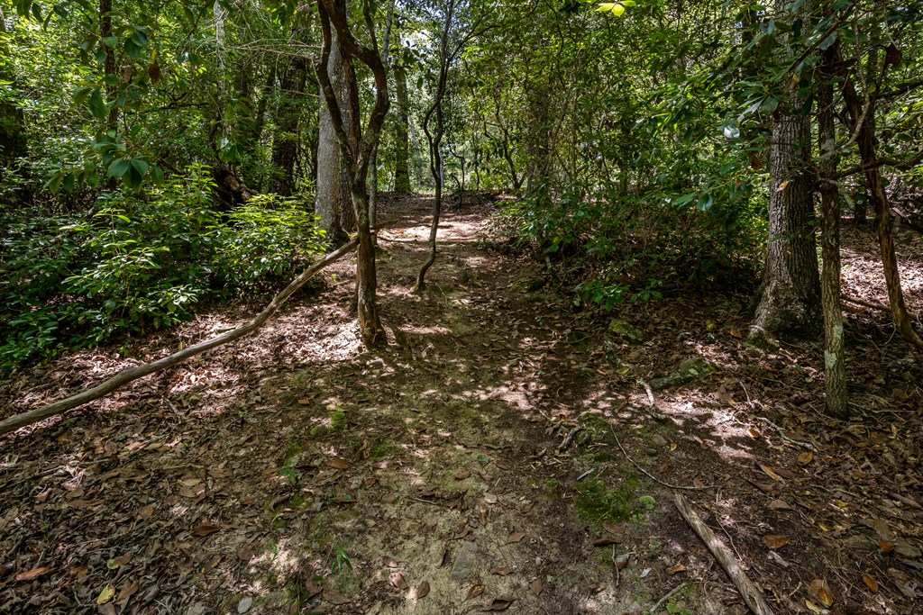 346 Mission Ridge Drive