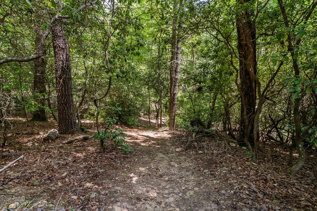 346 Mission Ridge Drive
