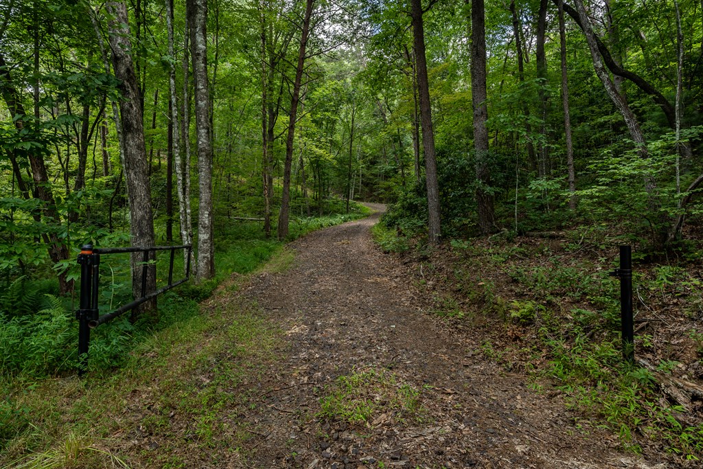 398 Beaver Cove Road