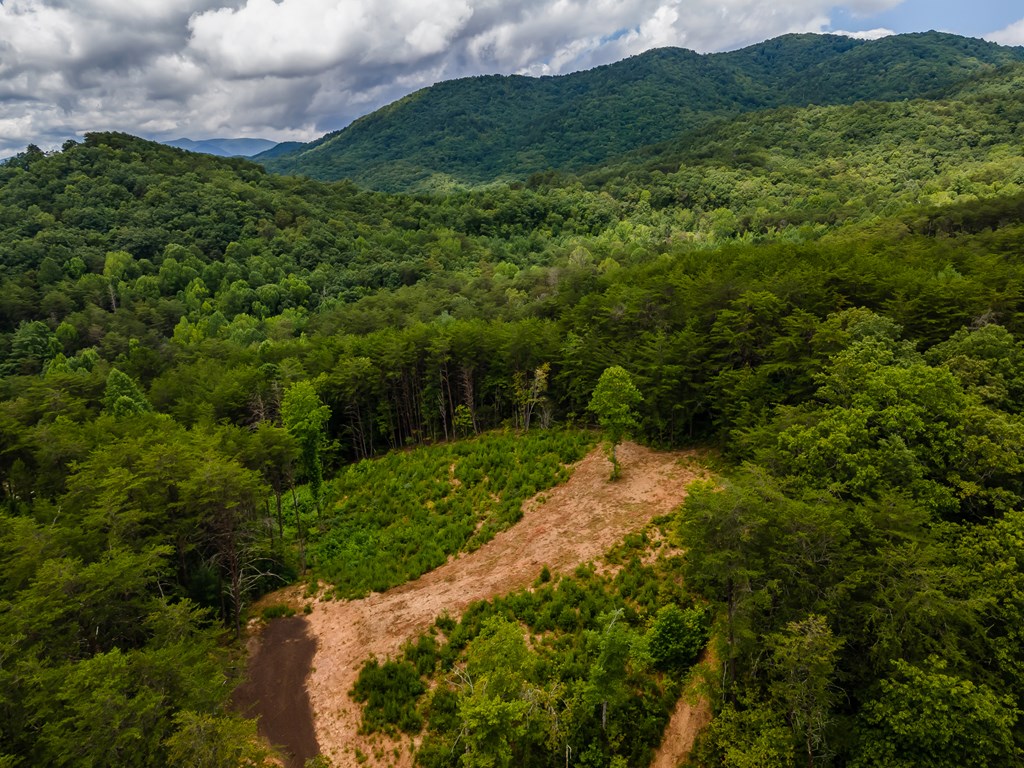 398 Beaver Cove Road