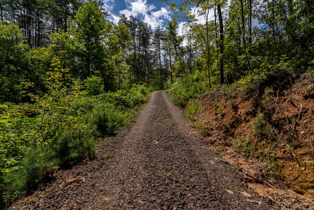 398 Beaver Cove Road