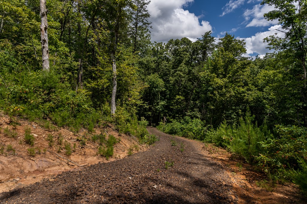 398 Beaver Cove Road