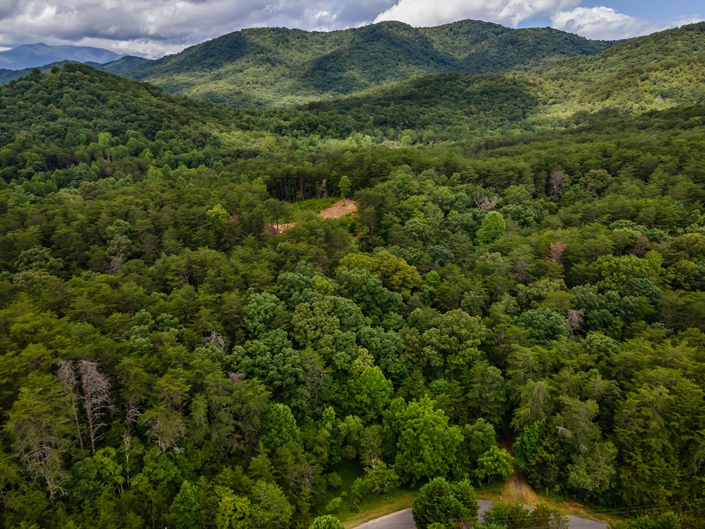 398 Beaver Cove Road