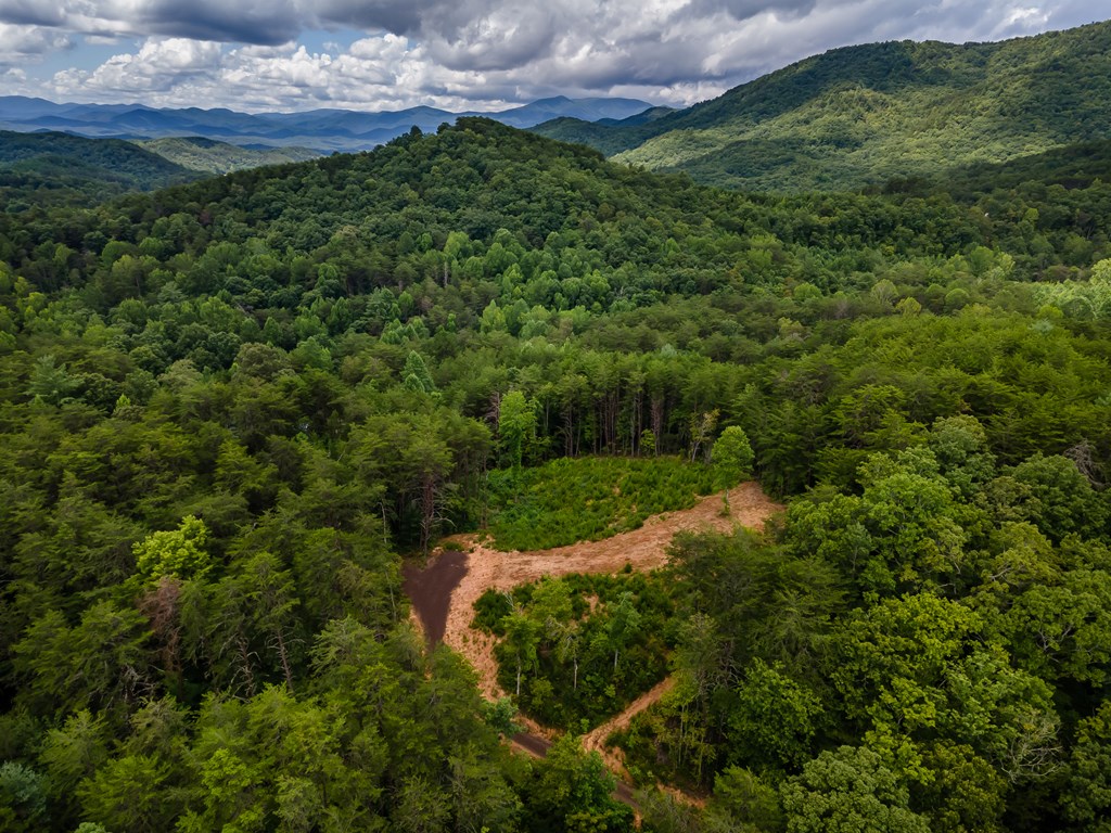 398 Beaver Cove Road