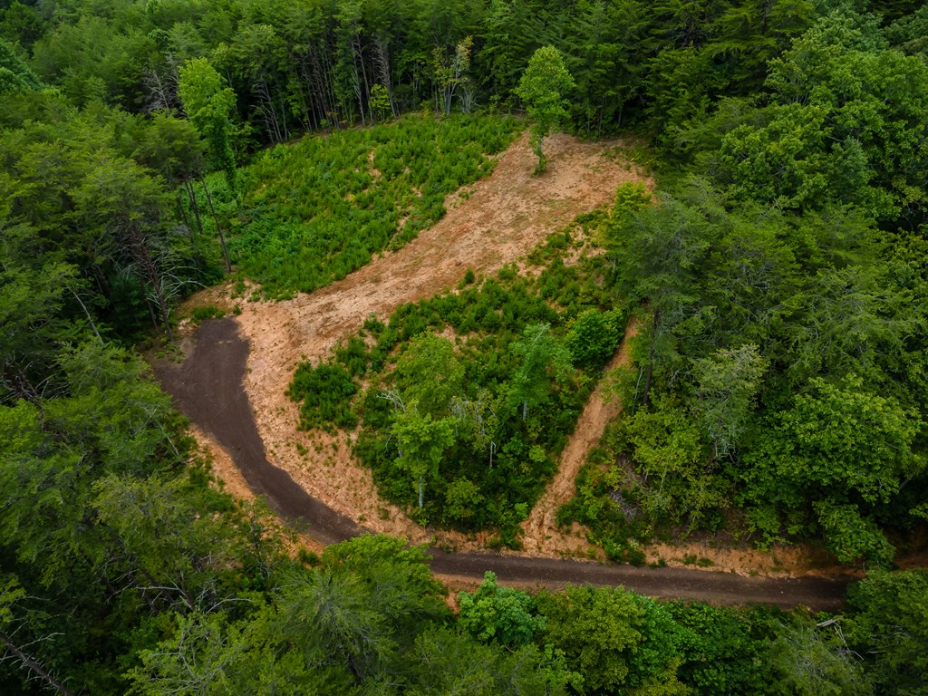 398 Beaver Cove Road