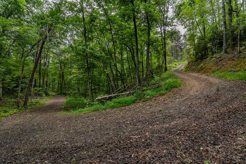 398 Beaver Cove Road