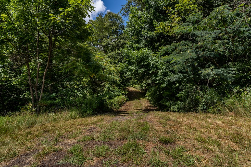398 Beaver Cove Road