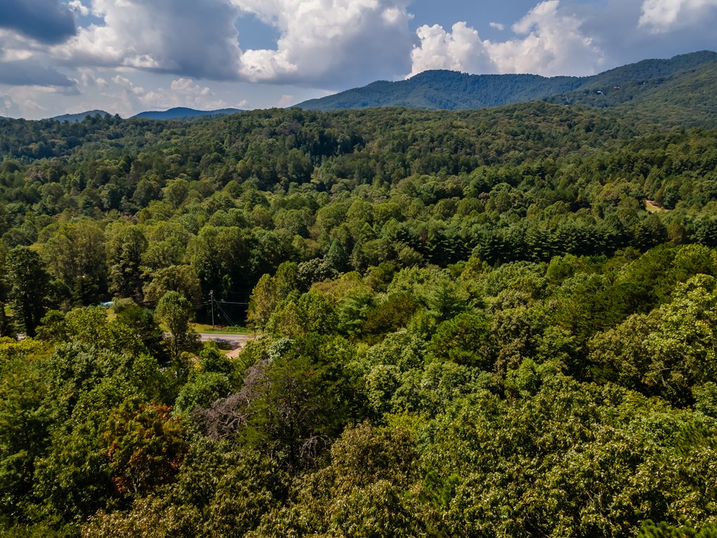 151 Pinewood Drive