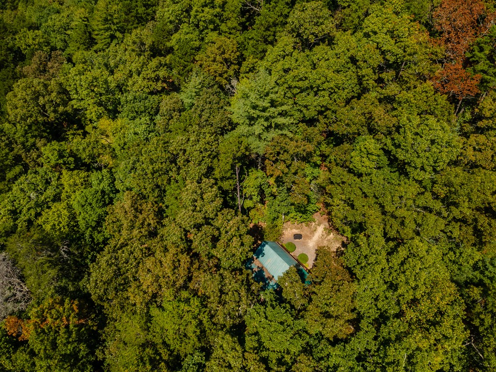 151 Pinewood Drive