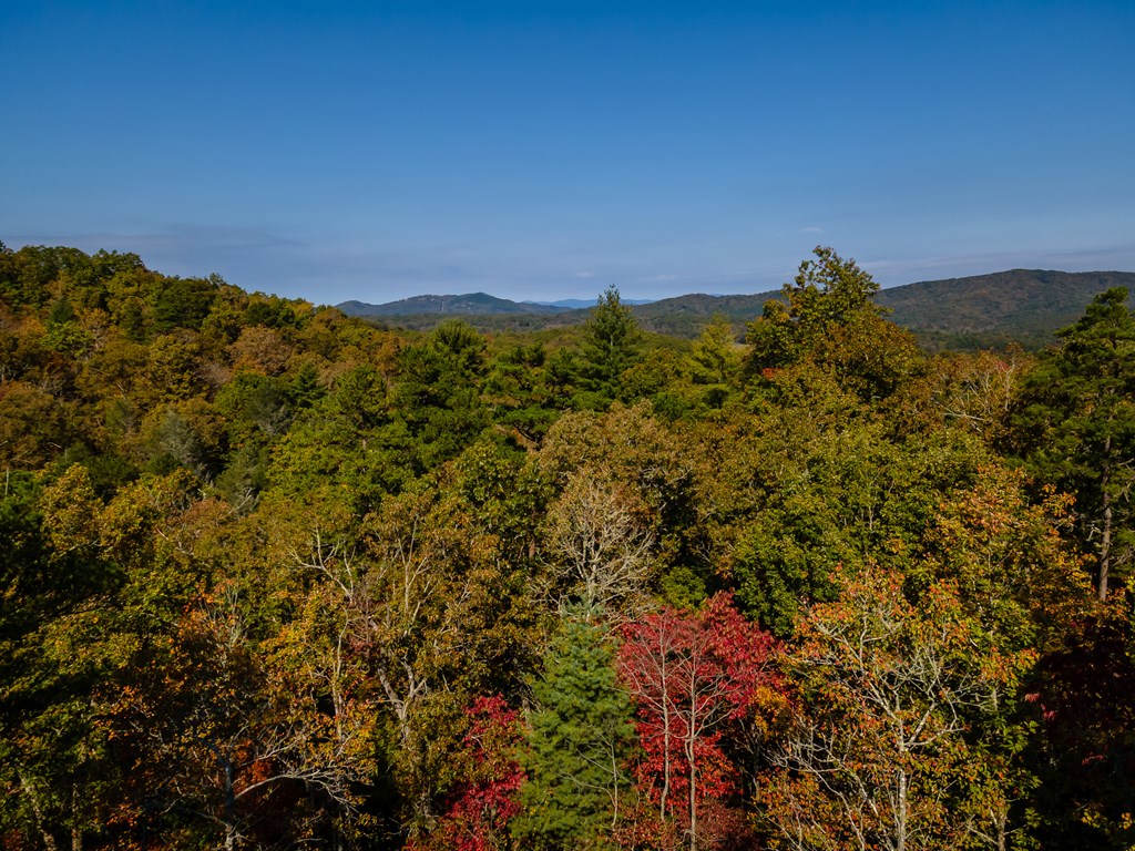 390 Fiddlers Way, Brasstown