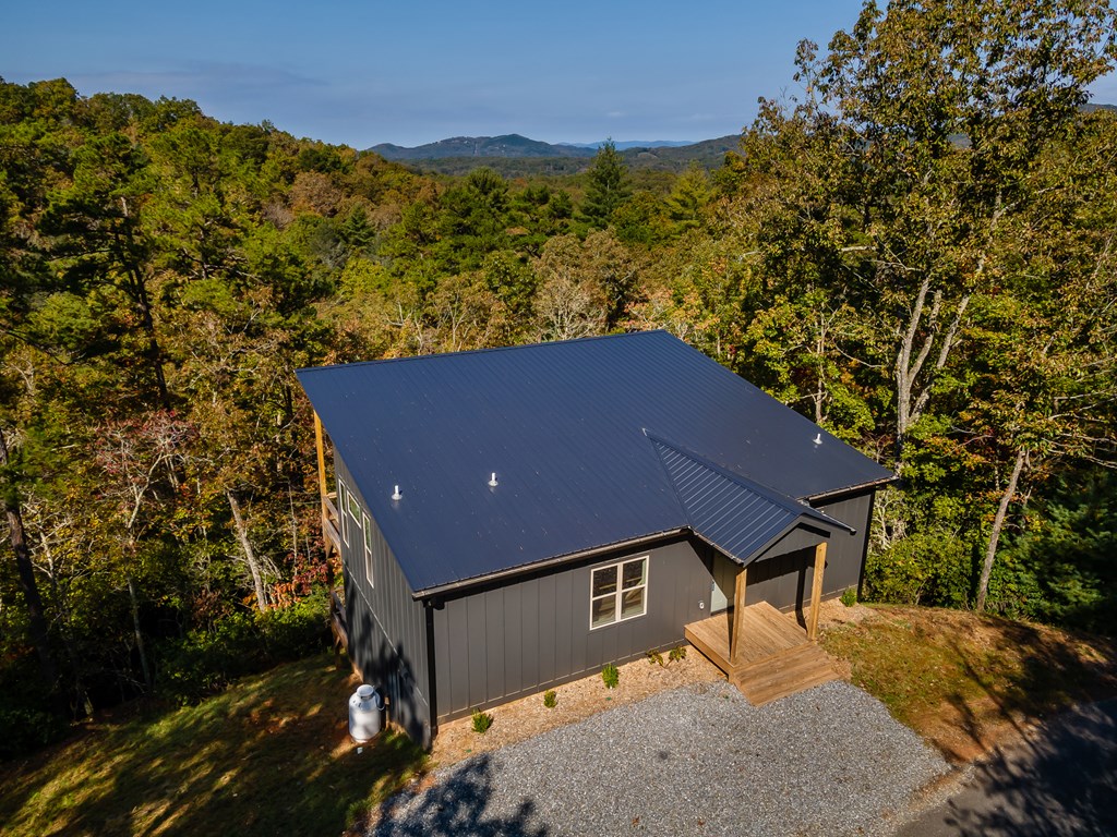 390 Fiddlers Way, Brasstown