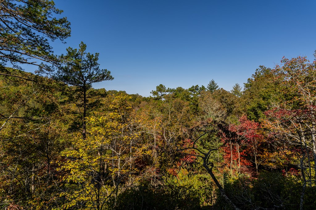 390 Fiddlers Way, Brasstown