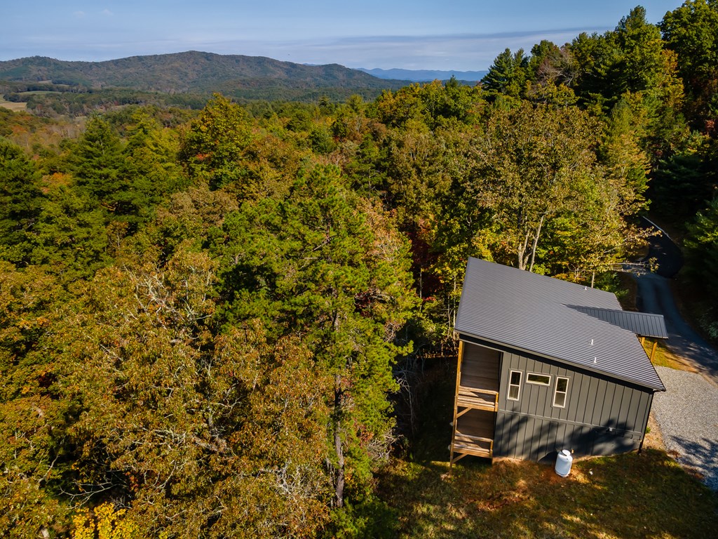 390 Fiddlers Way, Brasstown