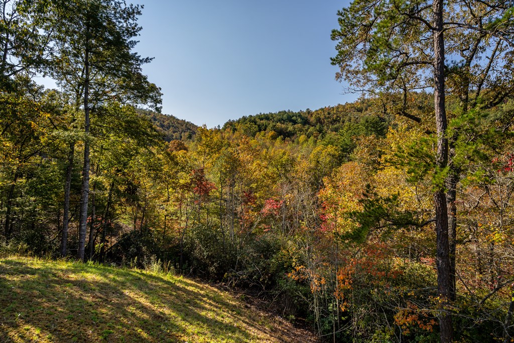 390 Fiddlers Way, Brasstown