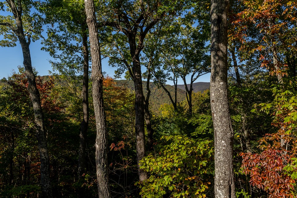 357 Skyline Drive, Cherry Log