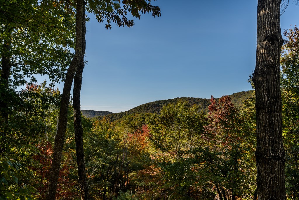 357 Skyline Drive, Cherry Log