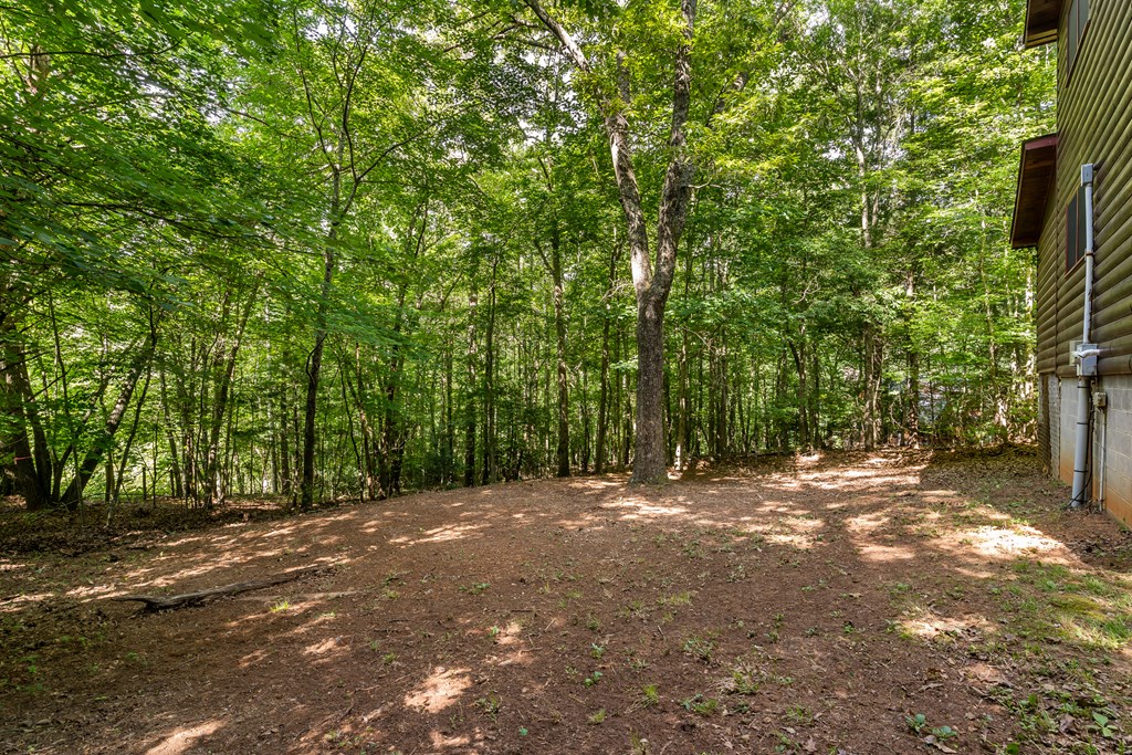 162 Little Falls Drive