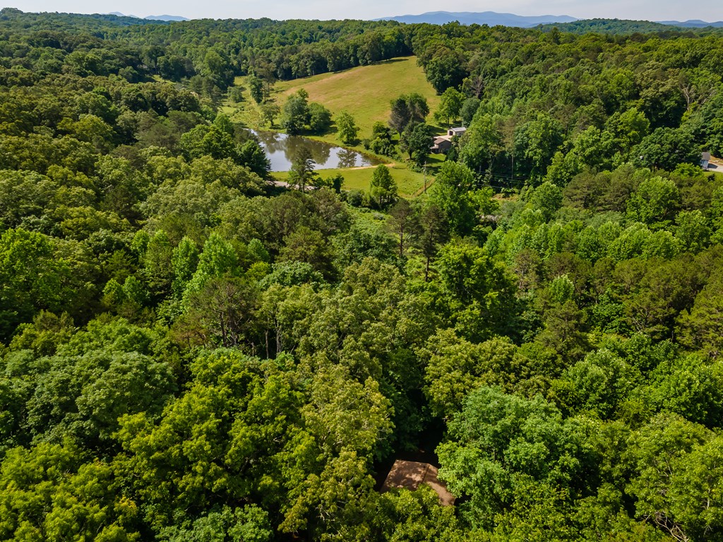 162 Little Falls Drive