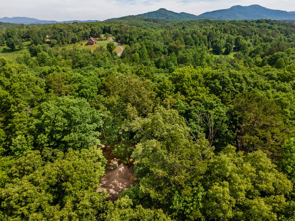 162 Little Falls Drive