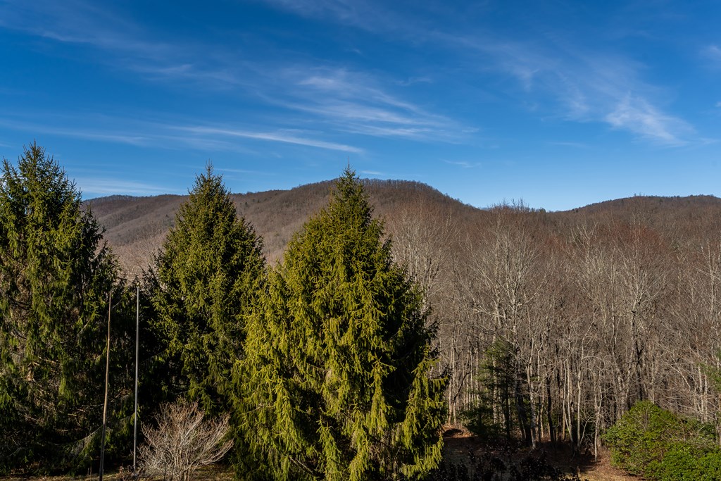 196 Mauldin Creek Road