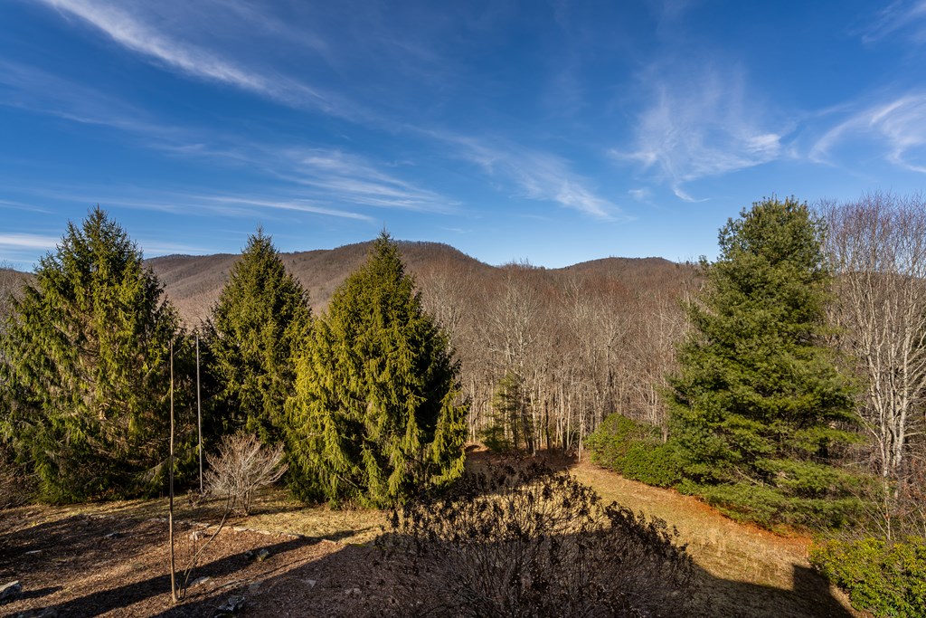 196 Mauldin Creek Road